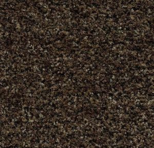 5774 Biscotti Brown