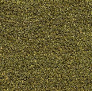 Rinotap K13 Green - 700x695